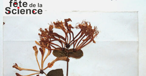 affiche de la fête de la science