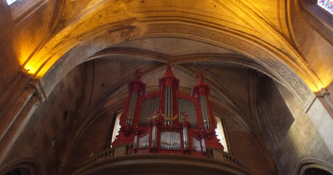 orgue de l'église saint pierre de Gaillac